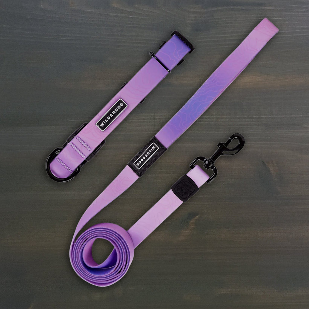 Aurora Waterproof Leash + Collar Bundle