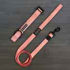 Guava Waterproof Leash + Collar Bundle