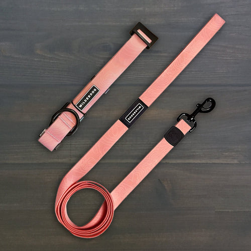 Guava Waterproof Leash + Collar Bundle