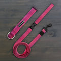 Plum Waterproof Leash + Collar Bundle