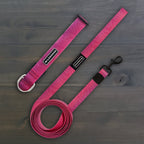 Plum Waterproof Leash + Collar Bundle