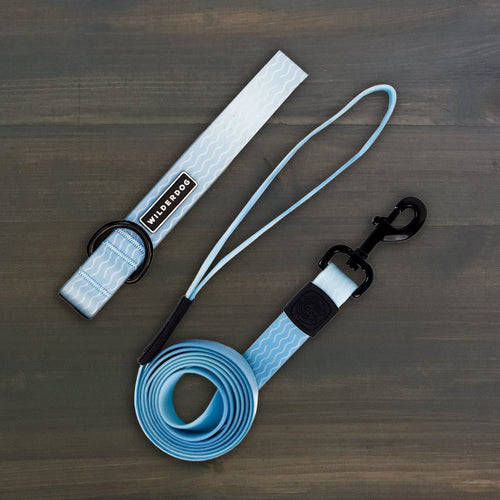 Saltwater Waterproof Leash + Collar Bundle