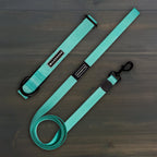 Seafoam Waterproof Leash + Collar Bundle