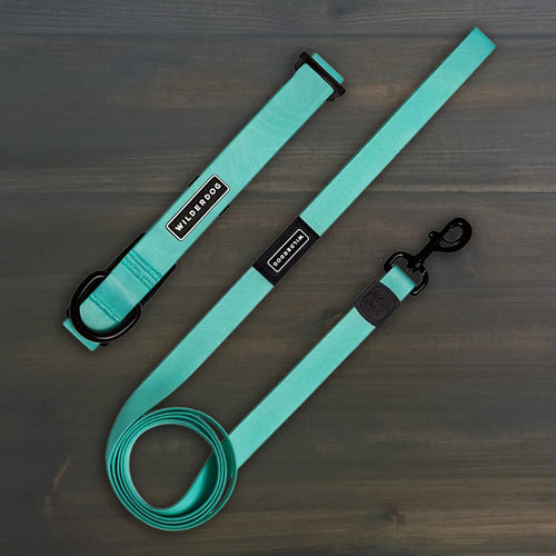 Seafoam Waterproof Leash + Collar Bundle