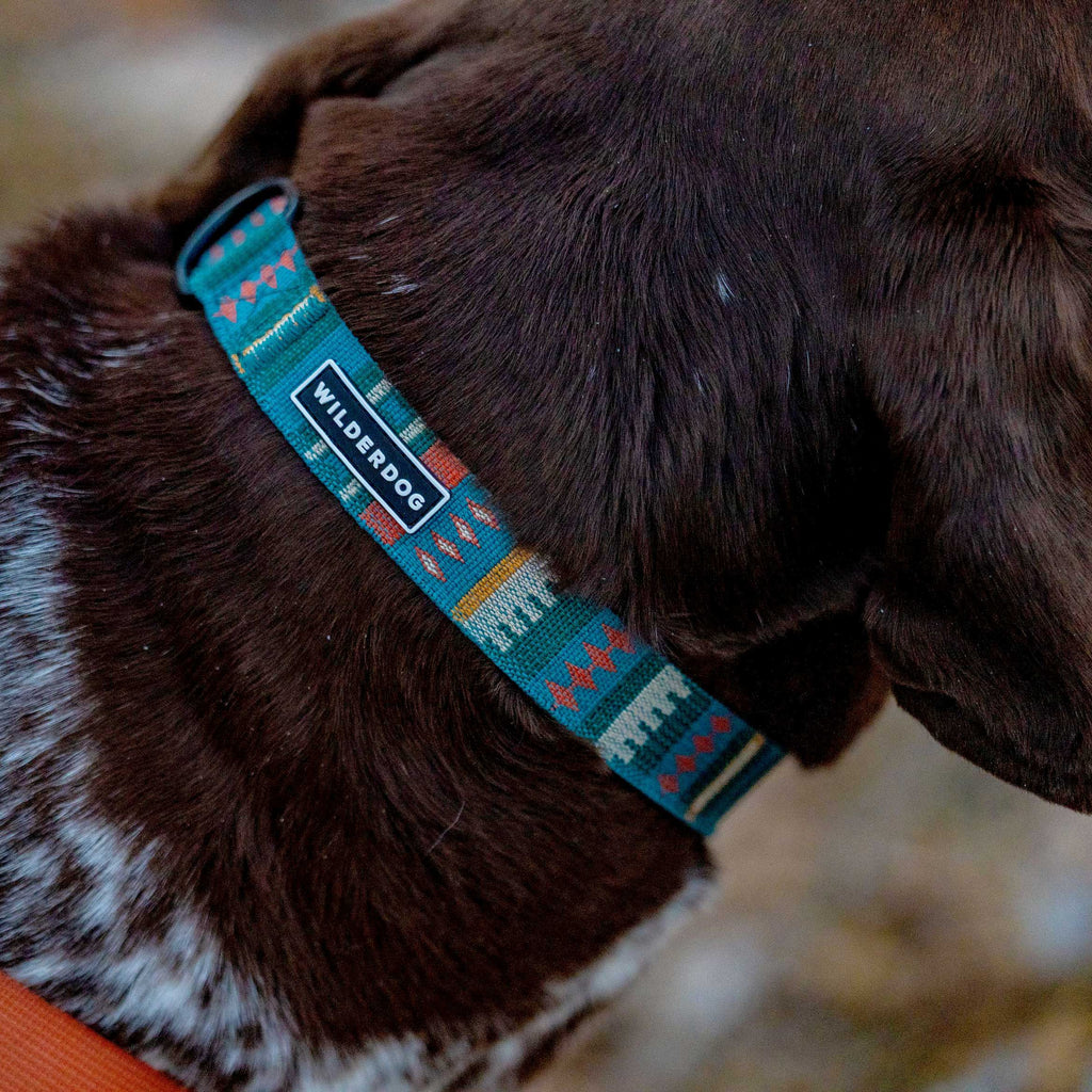 Yucca Ultralight Collar