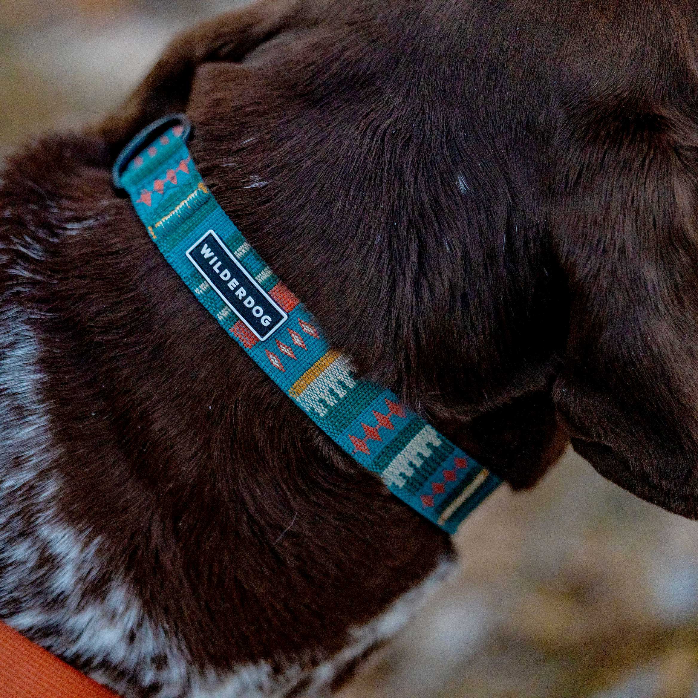 Yucca Ultralight Collar