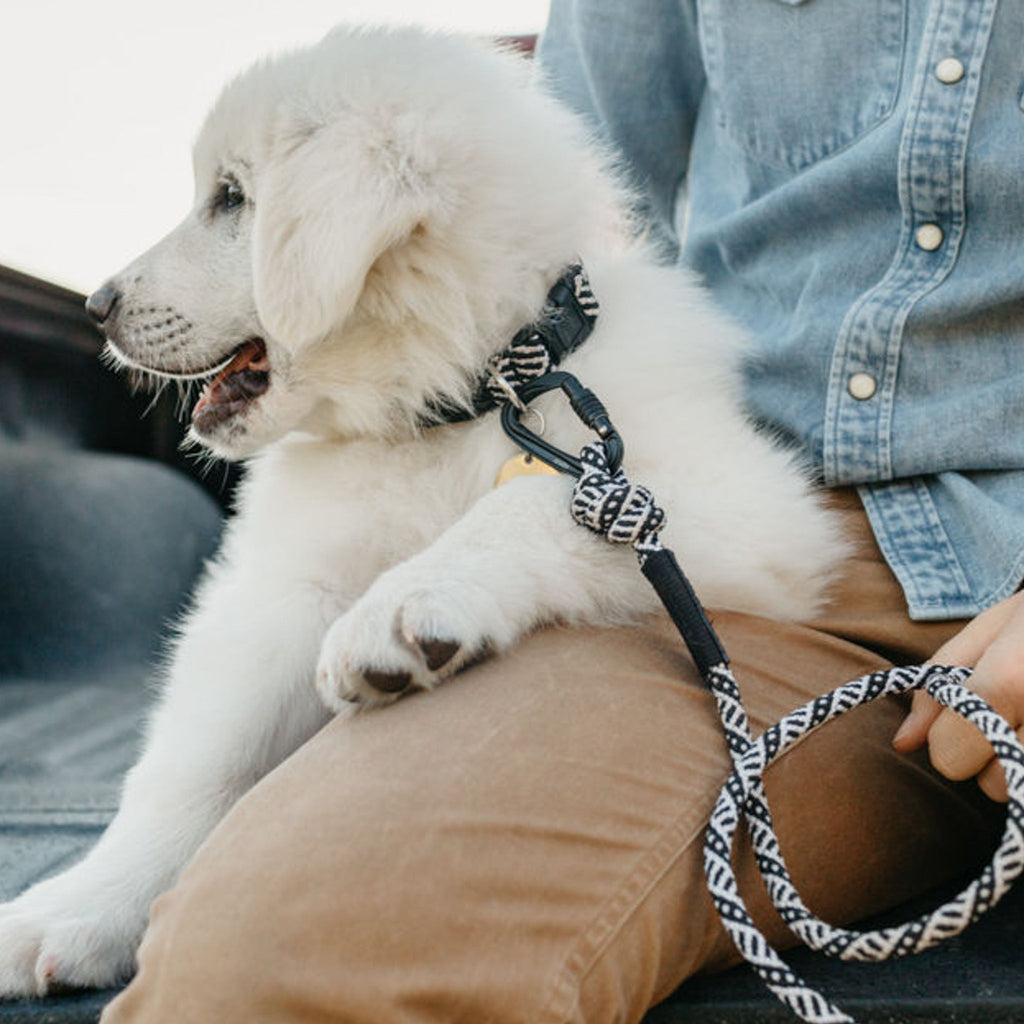 Small Carabiner Rope Leash
