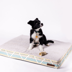 WilderDog™ Memory Foam Dog Bed
