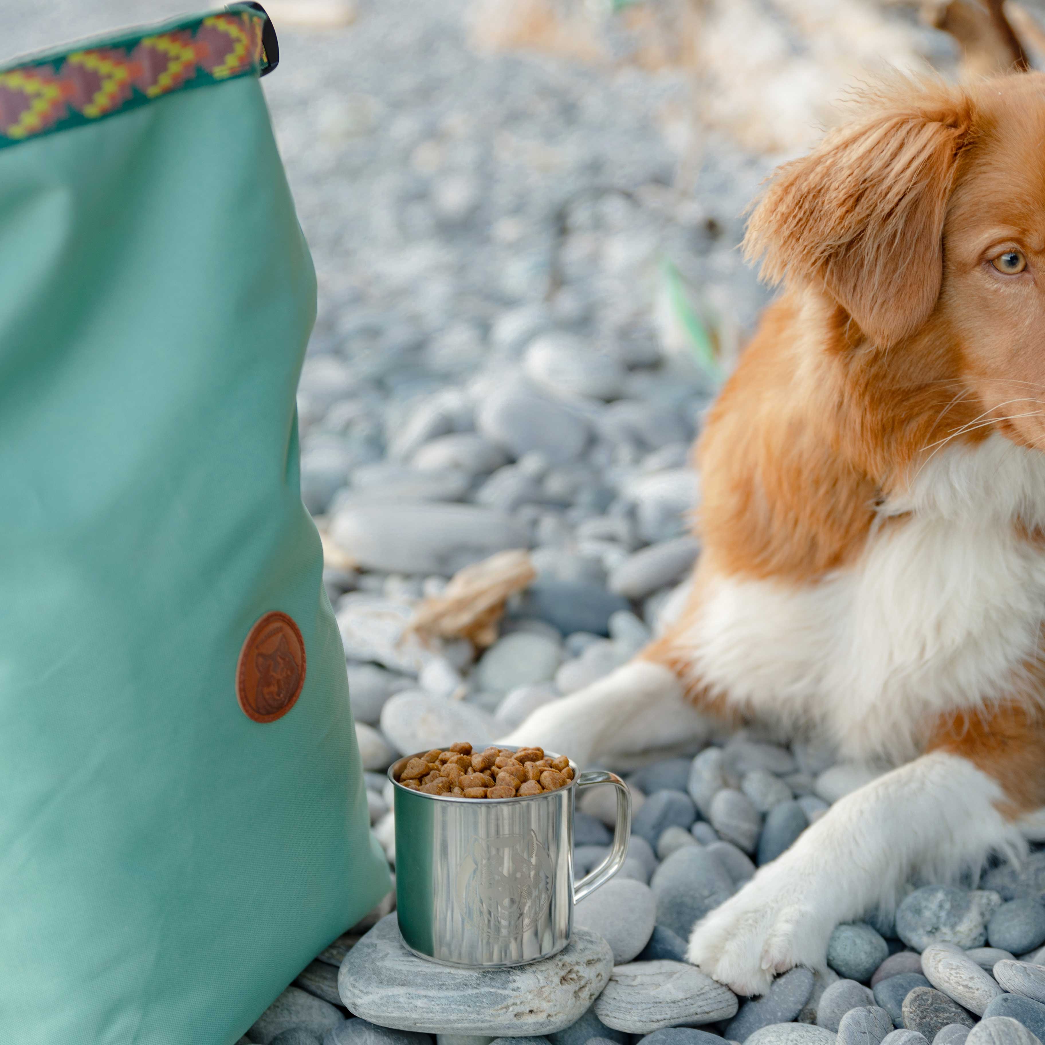 Doggie Bag