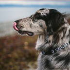 Rope Collar