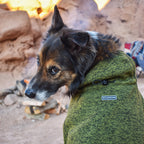 Fleece Jacket