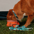 Tamarack Ultralight Collar