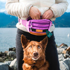 Utility Pack
